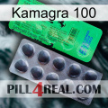 Kamagra 100 new04